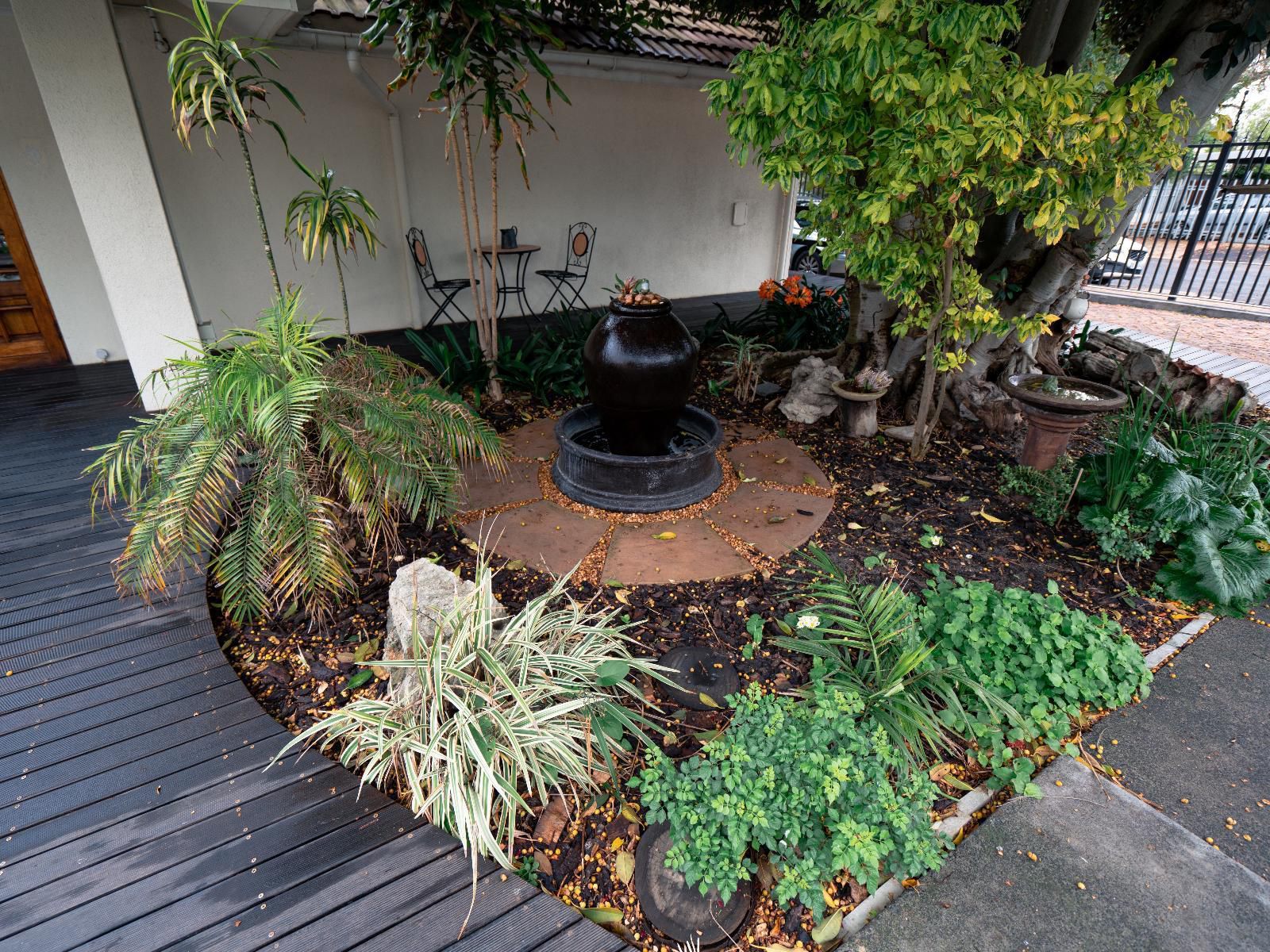 Dolliwarie Guest House Panorama Cape Town Western Cape South Africa Palm Tree, Plant, Nature, Wood, Garden