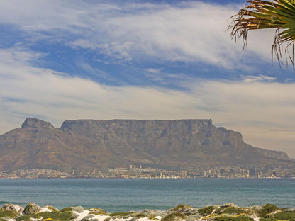 Dolphin Beach H206 By Airagents Blouberg Cape Town Western Cape South Africa Beach, Nature, Sand