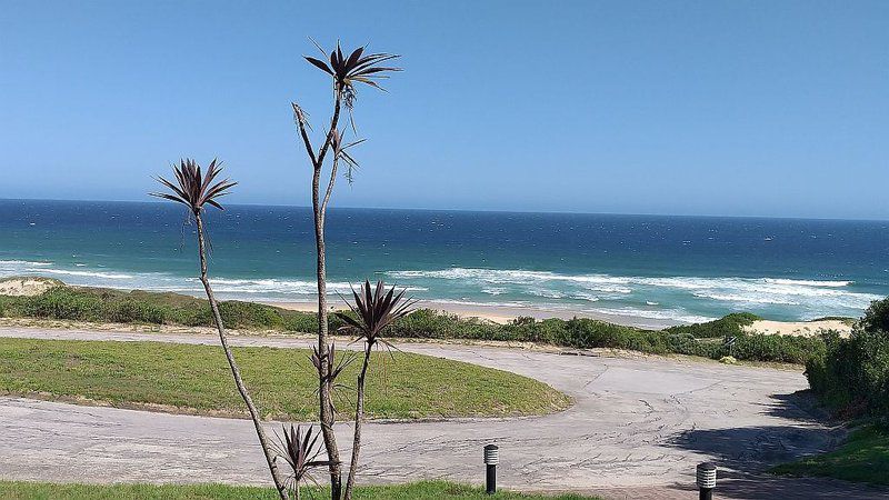 Dolphin Villa Blue Horizon Bay Port Elizabeth Eastern Cape South Africa Beach, Nature, Sand, Palm Tree, Plant, Wood