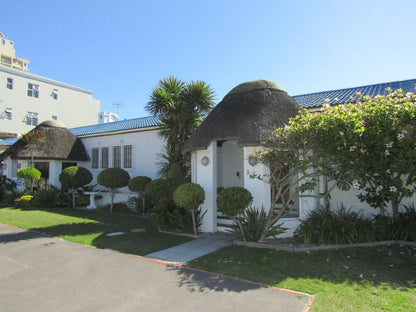 Dolphin Inn Blouberg Bloubergrant Blouberg Western Cape South Africa House, Building, Architecture, Palm Tree, Plant, Nature, Wood