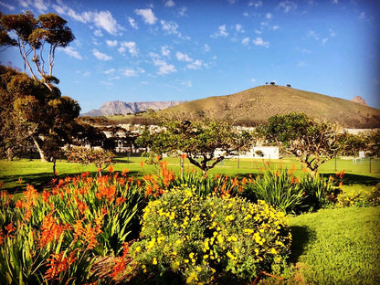 Dolphin Inn Guest House Mouille Point Cape Town Western Cape South Africa Complementary Colors, Colorful, Plant, Nature, Garden