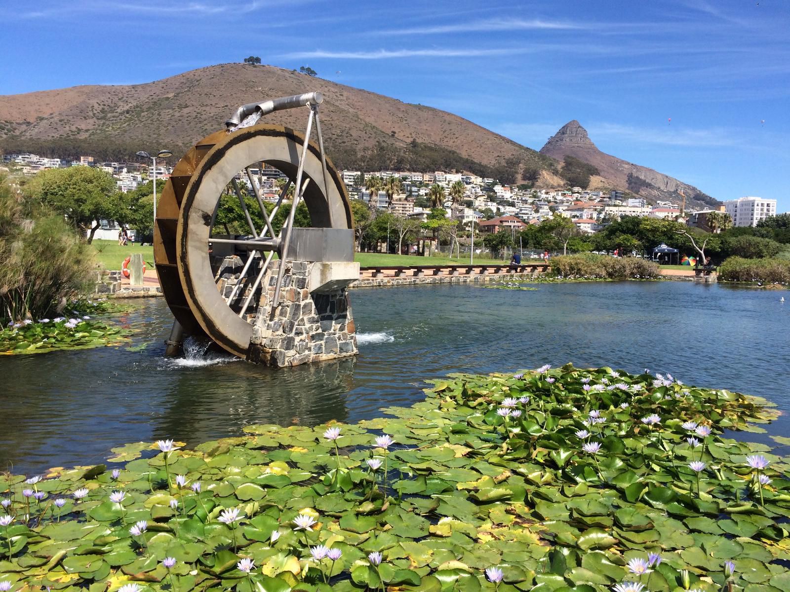 Dolphin Inn Guest House Mouille Point Cape Town Western Cape South Africa Complementary Colors, City, Architecture, Building, Highland, Nature