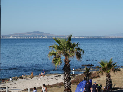 Dolphin Inn Guest House Mouille Point Cape Town Western Cape South Africa Beach, Nature, Sand, Palm Tree, Plant, Wood