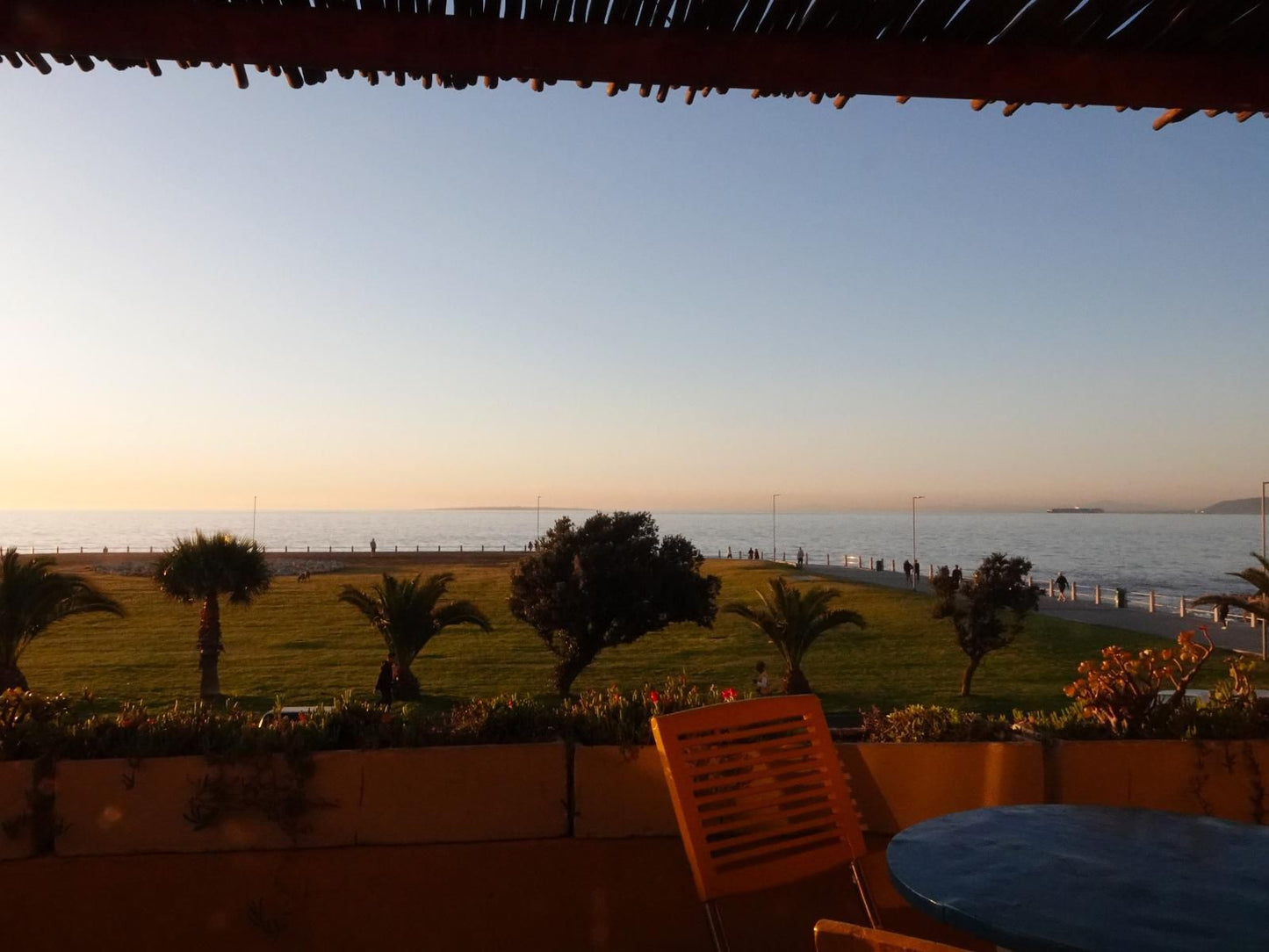 Dolphin Inn Guest House Mouille Point Cape Town Western Cape South Africa Beach, Nature, Sand, Palm Tree, Plant, Wood, Sunset, Sky