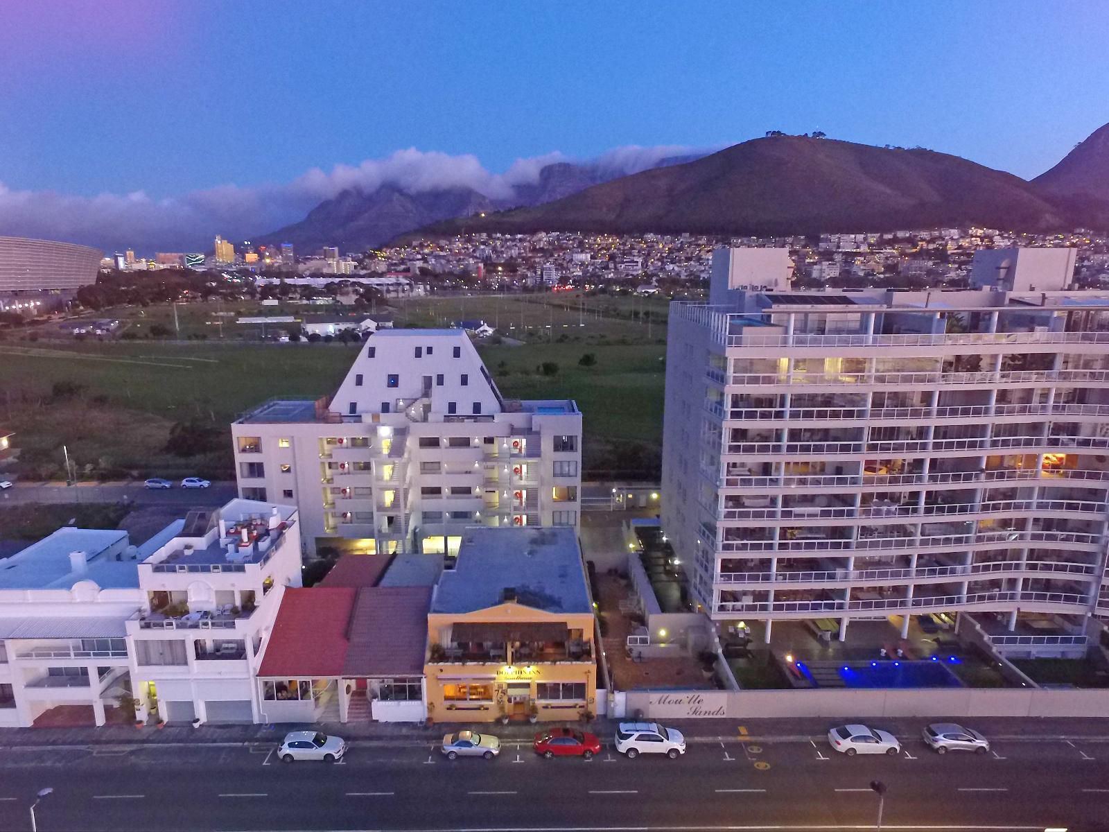 Dolphin Inn Guest House Mouille Point Cape Town Western Cape South Africa Palm Tree, Plant, Nature, Wood, Skyscraper, Building, Architecture, City, Aerial Photography