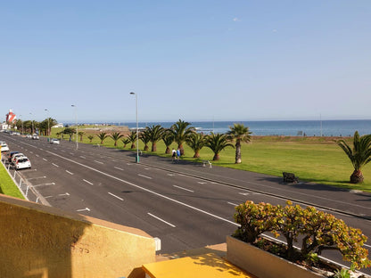 Dolphin Inn Guest House Mouille Point Cape Town Western Cape South Africa Complementary Colors, Beach, Nature, Sand, Palm Tree, Plant, Wood, Street