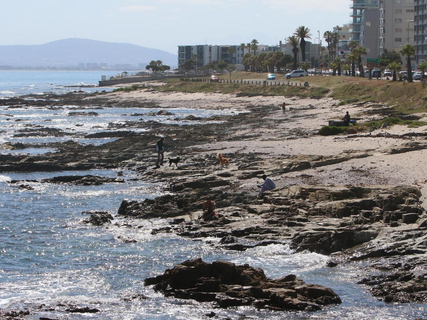 Dolphin Inn Guest House Mouille Point Cape Town Western Cape South Africa Beach, Nature, Sand, Palm Tree, Plant, Wood, Tower, Building, Architecture, Ocean, Waters