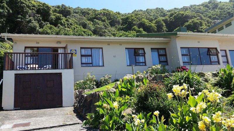 Dolphins Estate Wilderness Western Cape South Africa House, Building, Architecture, Palm Tree, Plant, Nature, Wood