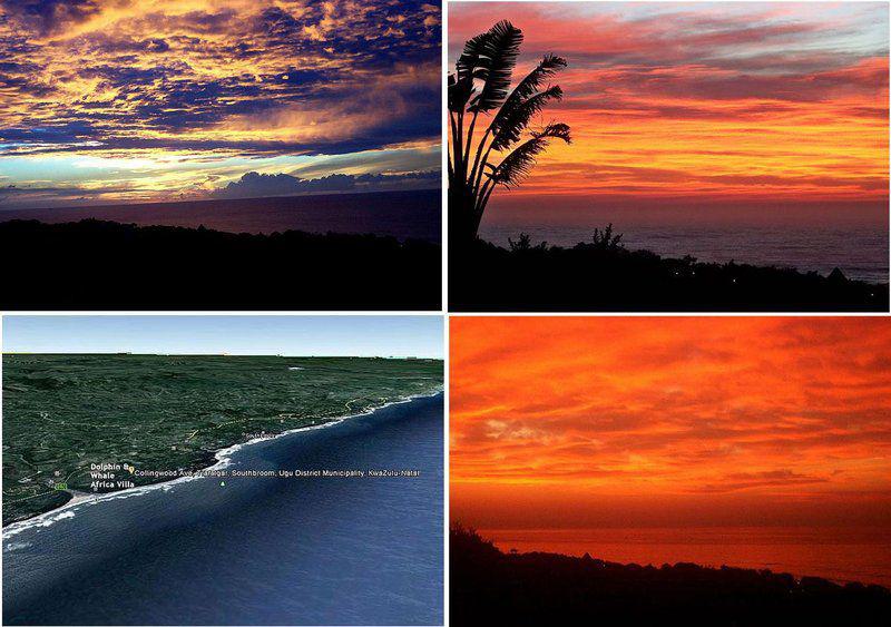 Beach, Nature, Sand, Palm Tree, Plant, Wood, Sky, Ocean, Waters, Sunset, Dolphin & Whale Africa Villa, Trafalgar, Trafalgar