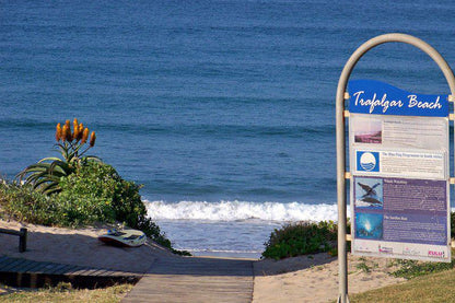 Beach, Nature, Sand, Ocean, Waters, Dolphin & Whale Africa Villa, Trafalgar, Trafalgar