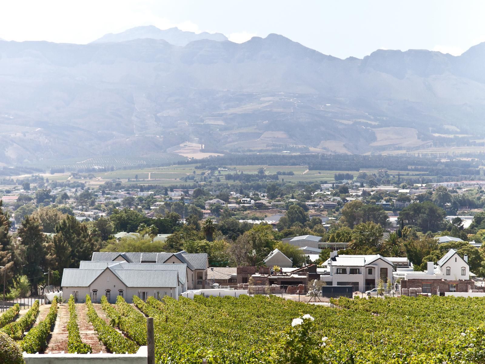 D Olyfboom Guesthouse Paarl Western Cape South Africa Complementary Colors