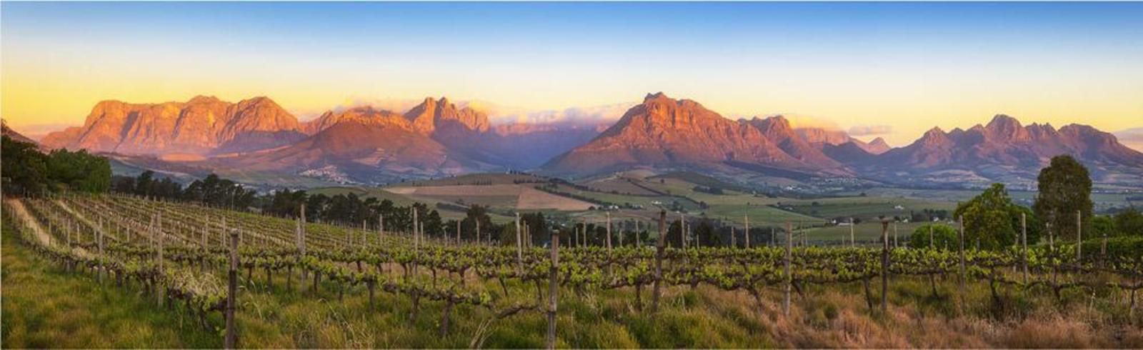 Domaine Coutelier Apartments Stellenbosch Western Cape South Africa Complementary Colors, Wine, Drink, Wine Glass, Glass, Drinking Accessoire, Mountain, Nature