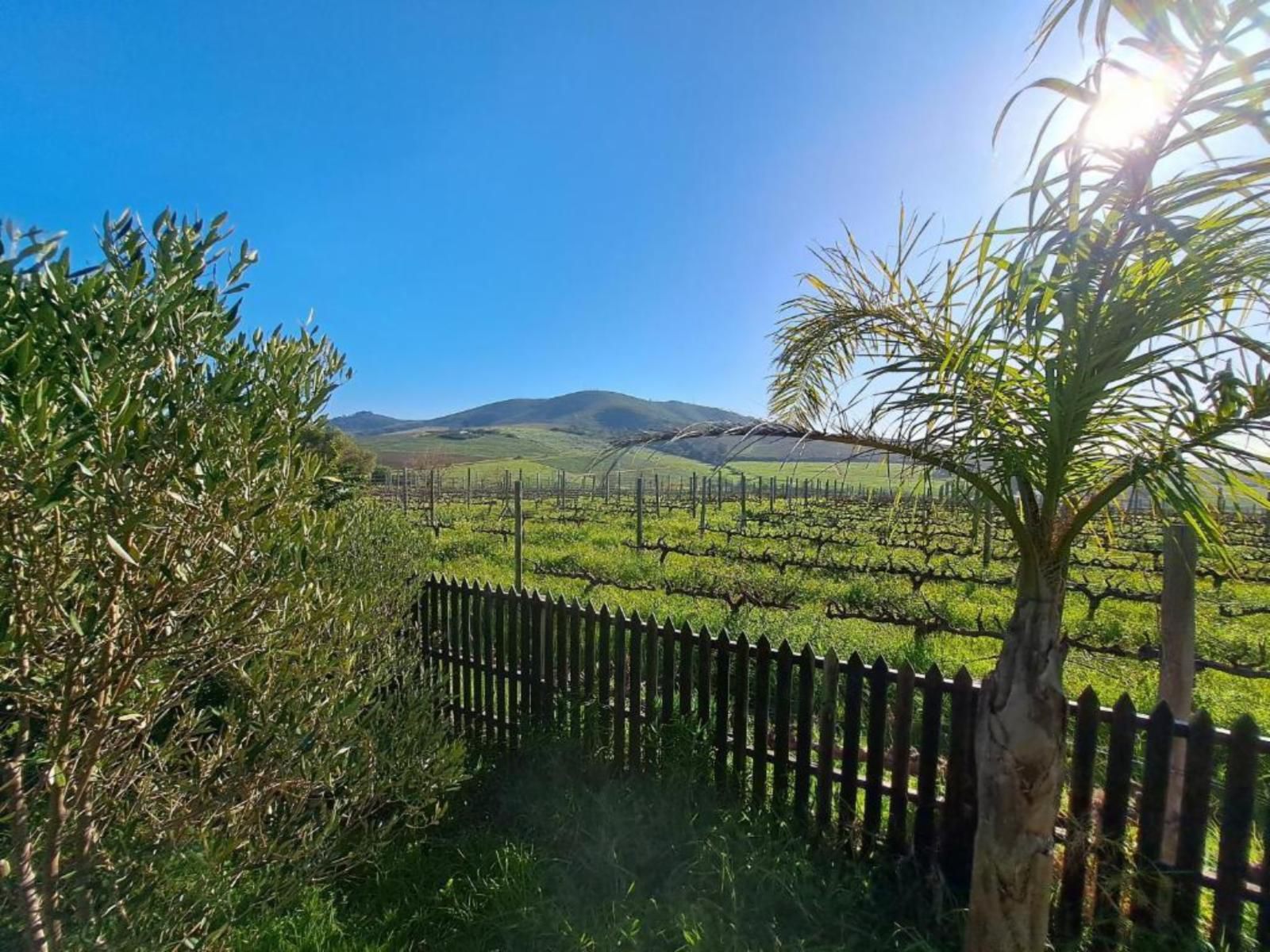 Domaine Coutelier, Nature