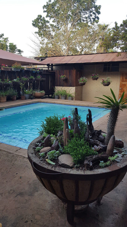 Domba Guest Lodge Komatipoort Mpumalanga South Africa Garden, Nature, Plant, Swimming Pool