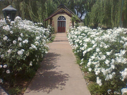 Dome Inn Parys Free State South Africa Blossom, Plant, Nature, Flower, House, Building, Architecture, Rose, Garden