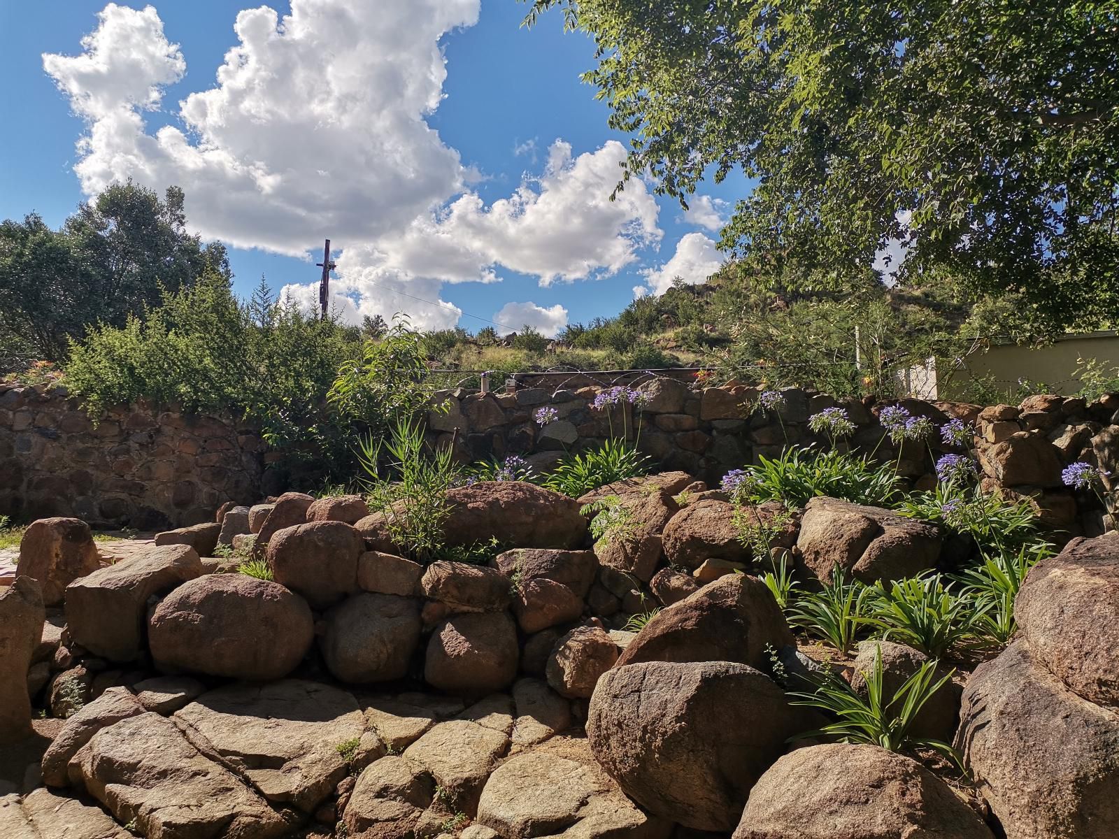 Donald Guest House Colesberg Northern Cape South Africa Garden, Nature, Plant