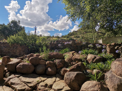 Donald Guest House Colesberg Northern Cape South Africa Garden, Nature, Plant