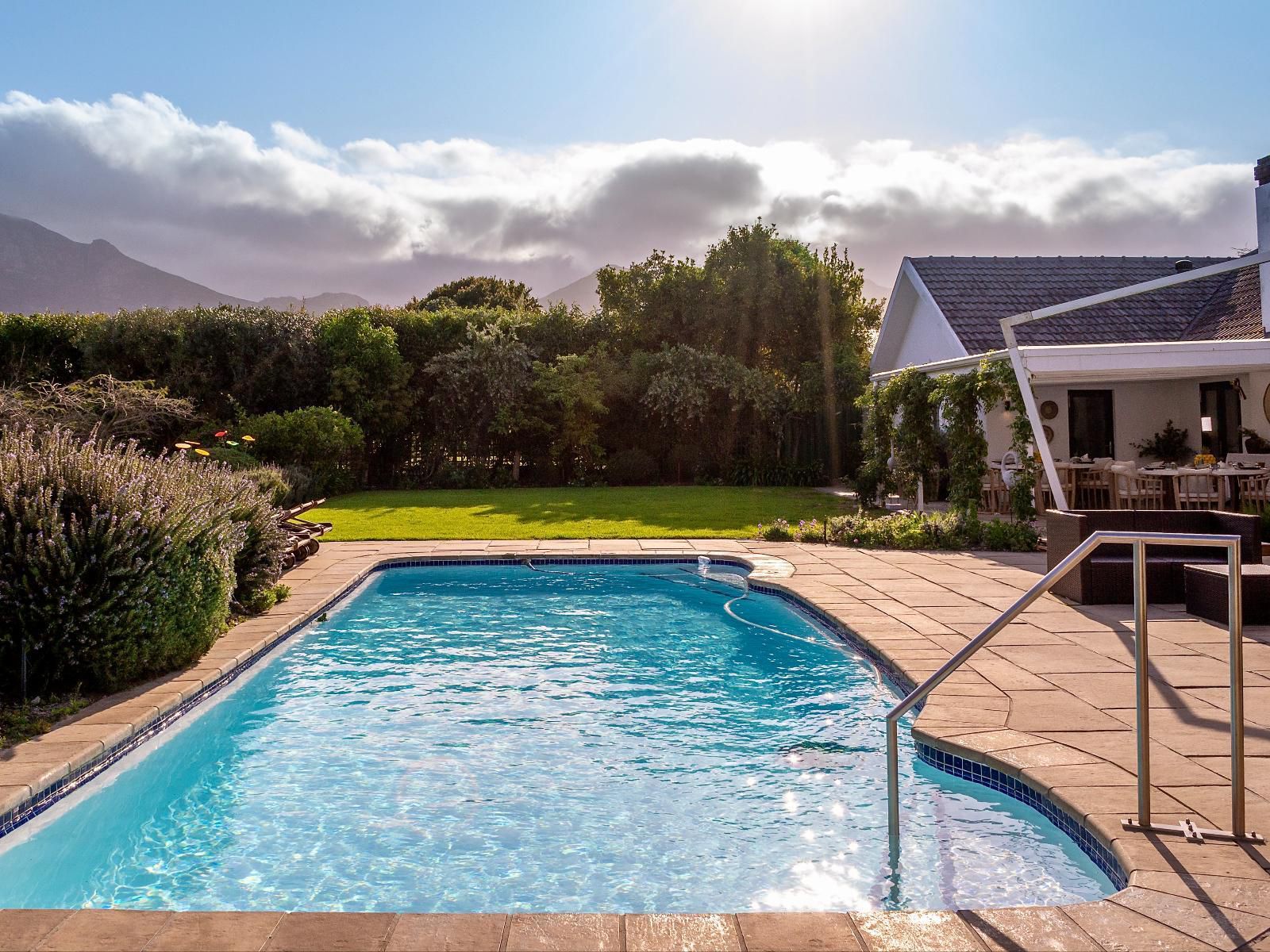 Dongola House Constantia Cape Town Western Cape South Africa Complementary Colors, Garden, Nature, Plant, Swimming Pool