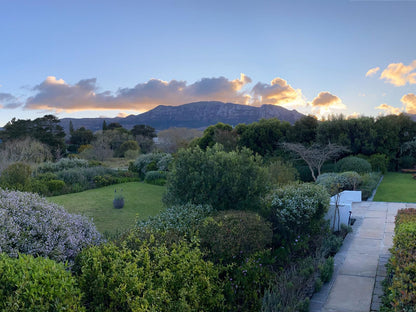 Dongola House Constantia Cape Town Western Cape South Africa Framing, Garden, Nature, Plant