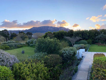 Dongola House Constantia Cape Town Western Cape South Africa Framing, Garden, Nature, Plant