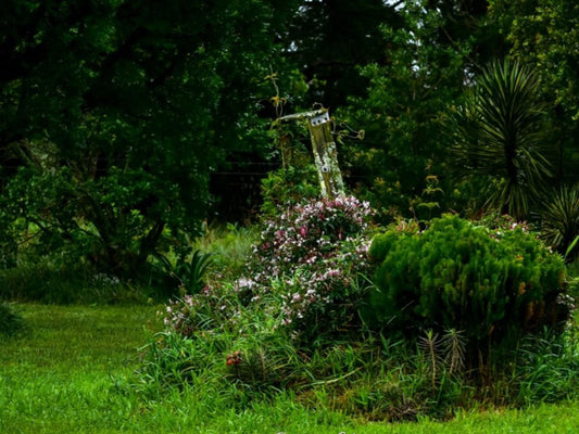 Donkerhoek Country Living Donkerhoek Gauteng South Africa Colorful, Flower, Plant, Nature, Garden