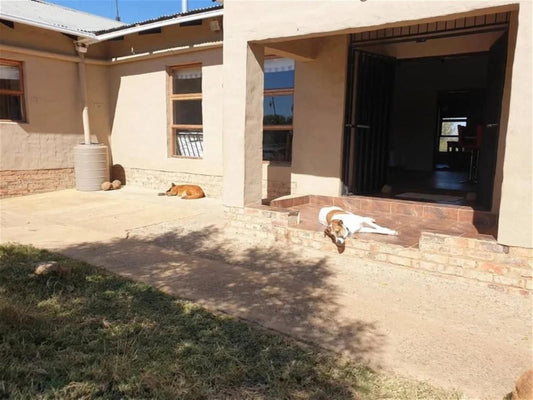 Donkerhoek Country Living Donkerhoek Gauteng South Africa Cat, Mammal, Animal, Pet, House, Building, Architecture