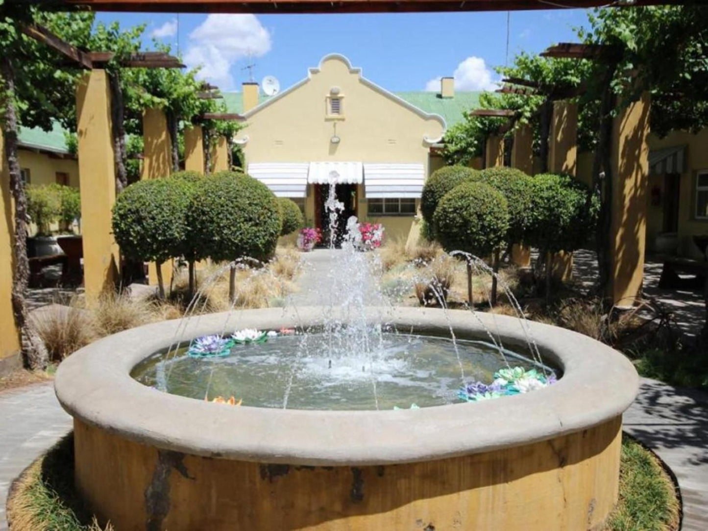 Donkin Country House Beaufort West Western Cape South Africa Garden, Nature, Plant, Swimming Pool