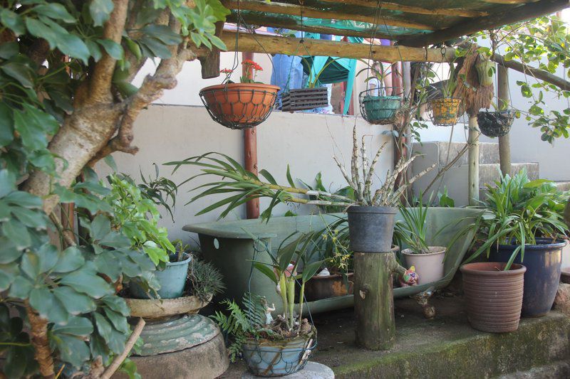 Doone Cottage Brighton Beach Durban Kwazulu Natal South Africa Plant, Nature, Garden