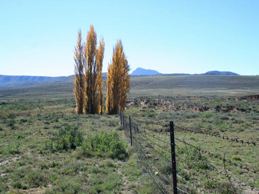 Doornberg Guest Farm Nieu Bethesda Eastern Cape South Africa Cactus, Plant, Nature