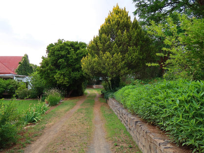 Doornberg Guest Farm Nieu Bethesda Eastern Cape South Africa Plant, Nature, Tree, Wood, Garden