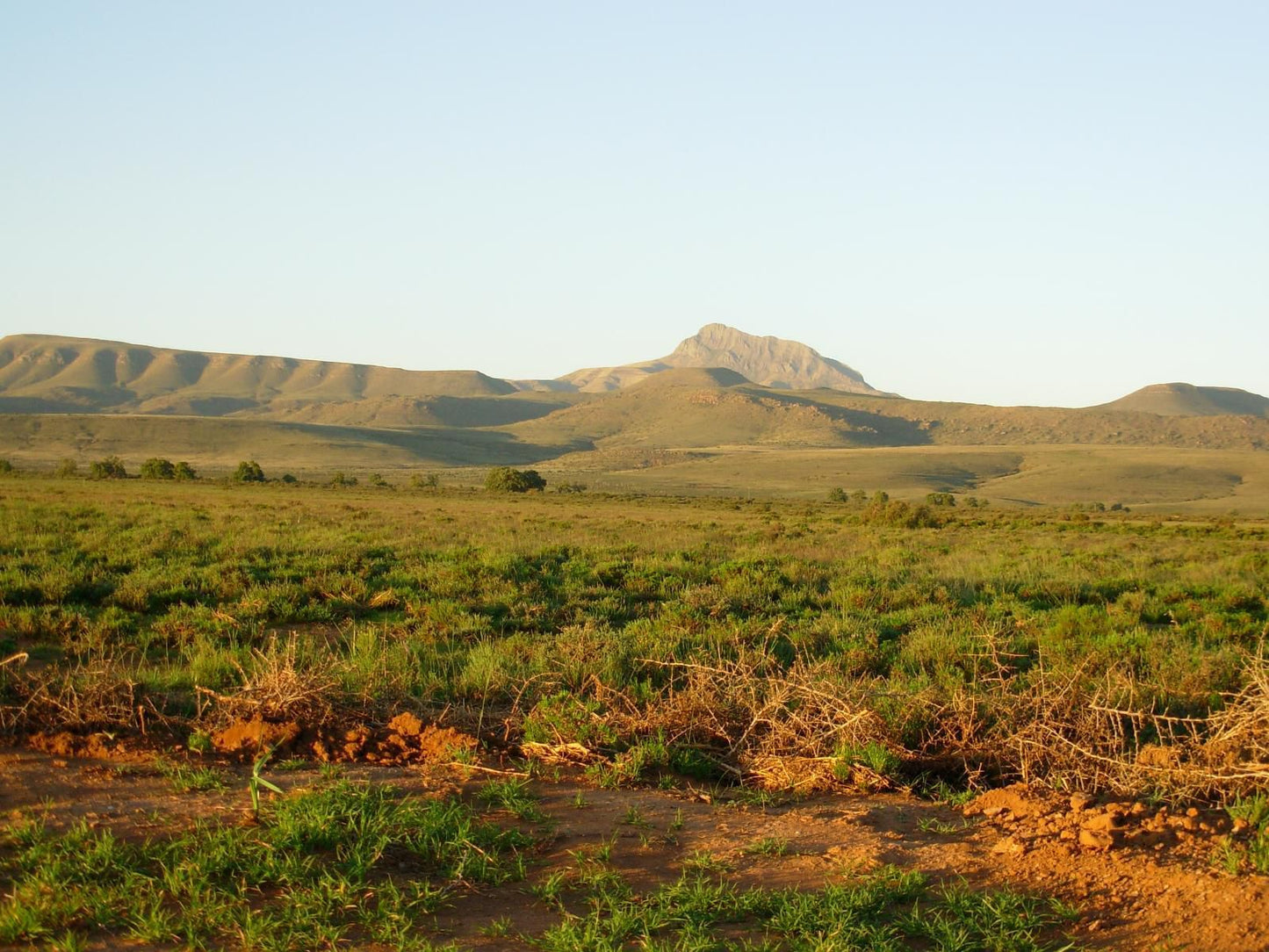 Doornberg Guest Farm Nieu Bethesda Eastern Cape South Africa Colorful, Desert, Nature, Sand, Lowland