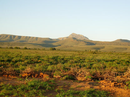 Doornberg Guest Farm Nieu Bethesda Eastern Cape South Africa Colorful, Desert, Nature, Sand, Lowland