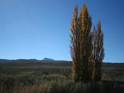 Doornberg Guest Farm Nieu Bethesda Eastern Cape South Africa Tree, Plant, Nature, Wood, Desert, Sand