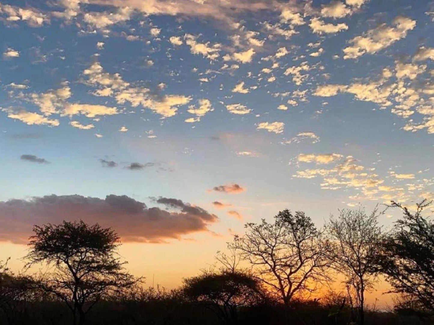 Doornkom Marloth Park Mpumalanga South Africa Sky, Nature, Sunset