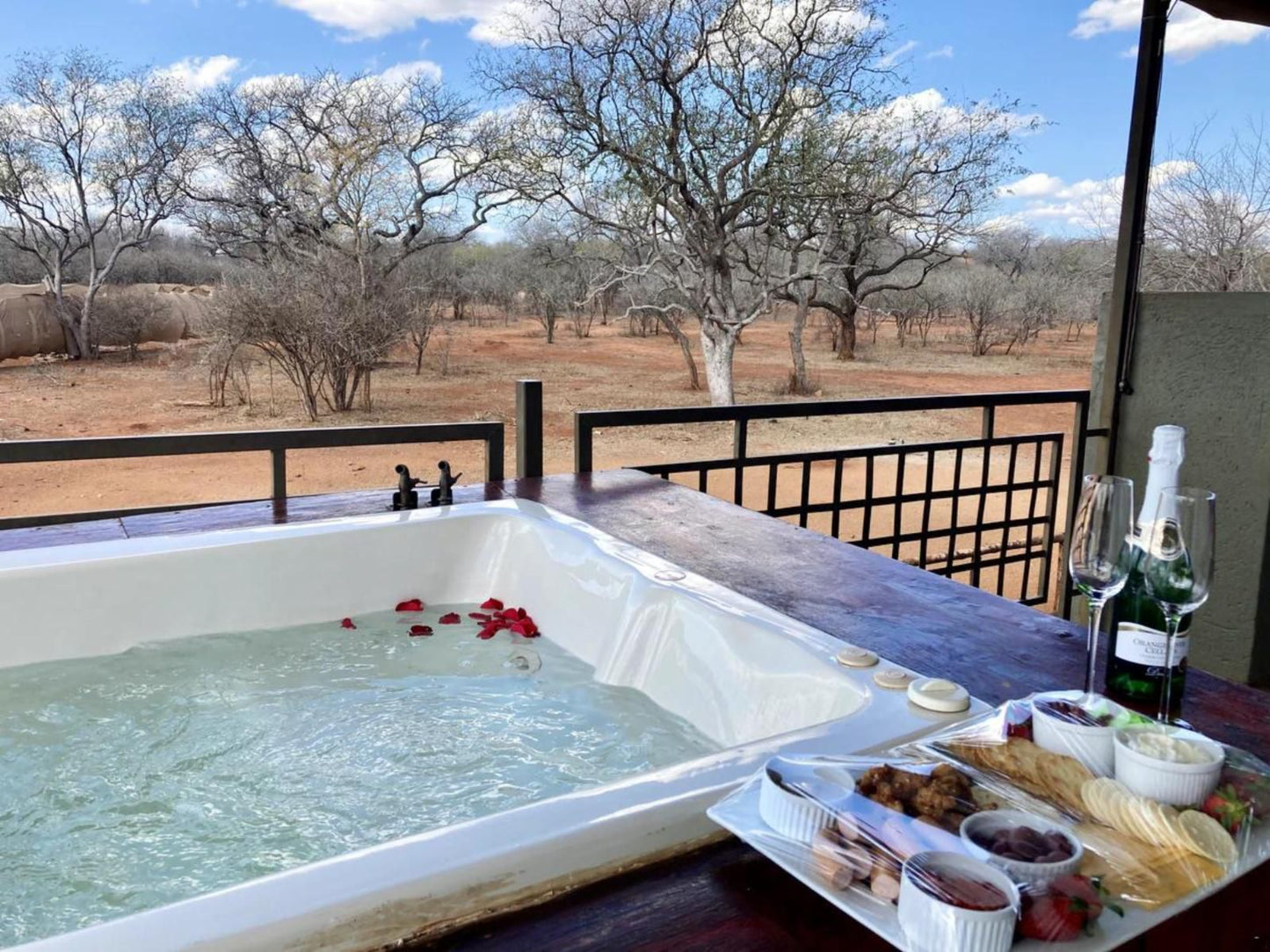 Doornkom Marloth Park Mpumalanga South Africa Swimming Pool