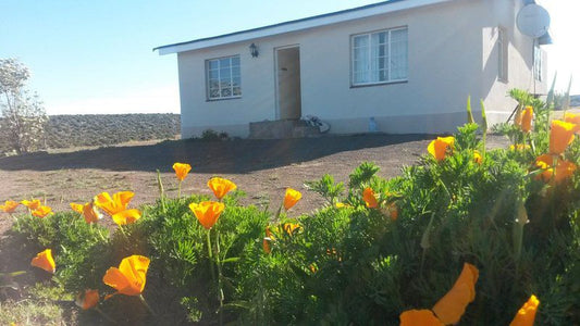 Doringboom Guesthouse Sutherland Northern Cape South Africa House, Building, Architecture, Plant, Nature, Garden