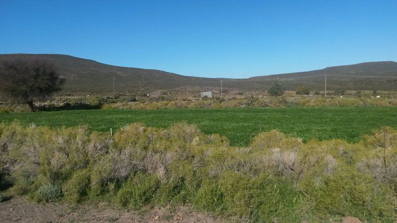 Doringboom Guesthouse Sutherland Northern Cape South Africa Complementary Colors, Cactus, Plant, Nature, Field, Agriculture, Sign, Text, Desert, Sand, Lowland