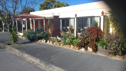 Dot J J Bandb Paarl Western Cape South Africa Sign, Garden, Nature, Plant