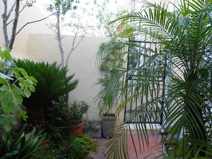 Down The Lane Tamboerskloof Cape Town Western Cape South Africa Palm Tree, Plant, Nature, Wood, Garden