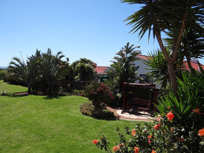 Waterside Living Dr Mike Herholdt 28 Kabeljous Jeffreys Bay Eastern Cape South Africa Complementary Colors, House, Building, Architecture, Palm Tree, Plant, Nature, Wood, Garden