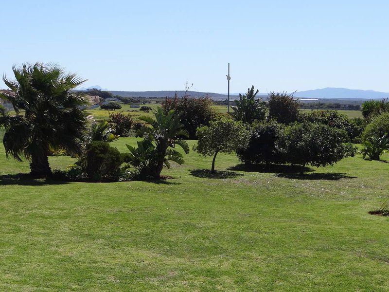 Waterside Living Dr Mike Herholdt 28 Kabeljous Jeffreys Bay Eastern Cape South Africa Complementary Colors, Palm Tree, Plant, Nature, Wood