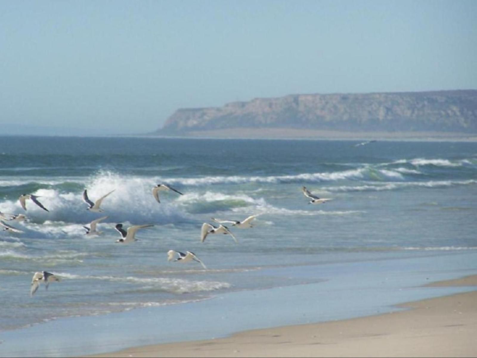 Draaihoek Lodge And Restaurant Elands Bay Western Cape South Africa Beach, Nature, Sand, Ocean, Waters