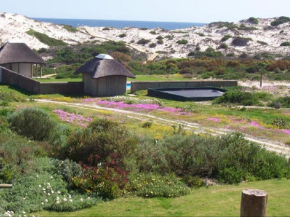 Draaihoek Lodge And Restaurant Elands Bay Western Cape South Africa Plant, Nature, Garden