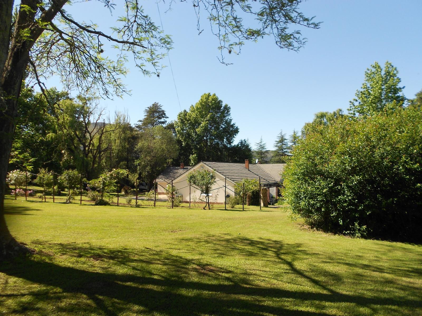 Dragon S Lair Guest Lodge Underberg Kwazulu Natal South Africa Complementary Colors, Tree, Plant, Nature, Wood