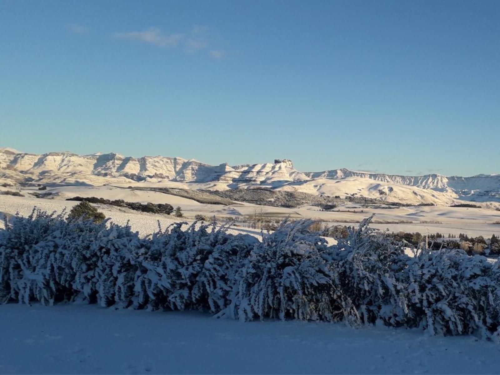 Dragons Landing Guest Farm Underberg Kwazulu Natal South Africa Nature, Winter Landscape, Snow, Winter