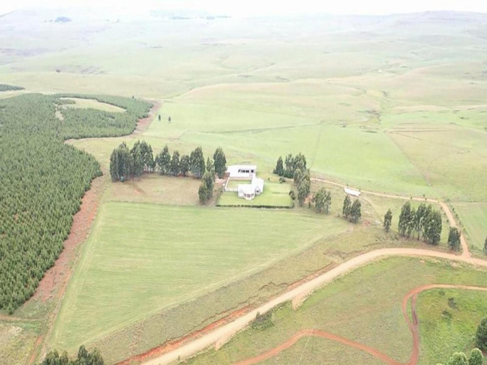 Dragons Landing Guest Farm Underberg Kwazulu Natal South Africa Field, Nature, Agriculture, Aerial Photography, Lowland