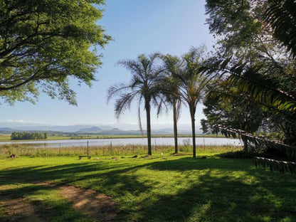 Drakensberg Bush Lodge And Backpackers, Palm Tree, Plant, Nature, Wood