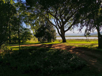 Drakensberg Bush Lodge And Backpackers, Plant, Nature, Tree, Wood