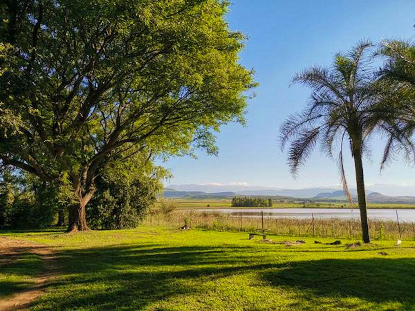 Drakensberg Bush Lodge And Backpackers, Plant, Nature