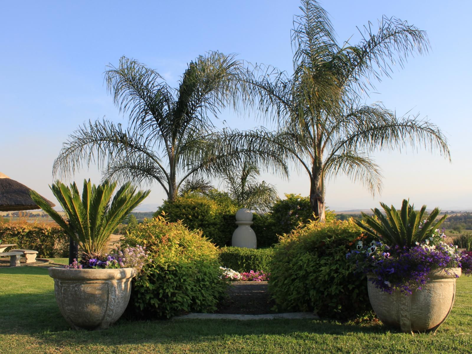 Drakensview Self Catering Winterton Kwazulu Natal South Africa Complementary Colors, Palm Tree, Plant, Nature, Wood, Garden